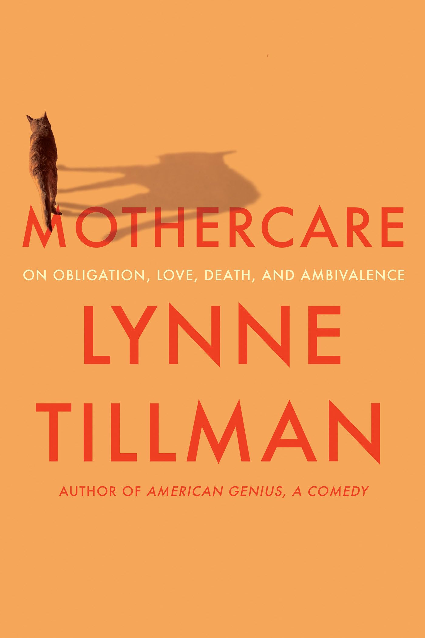 MOTHERCARE: On Obligation, Love, Death, and Ambivalence - 2855