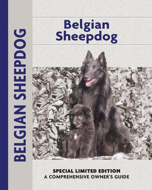 Belgian Sheepdog (Comprehensive Owner's Guide) - 5570