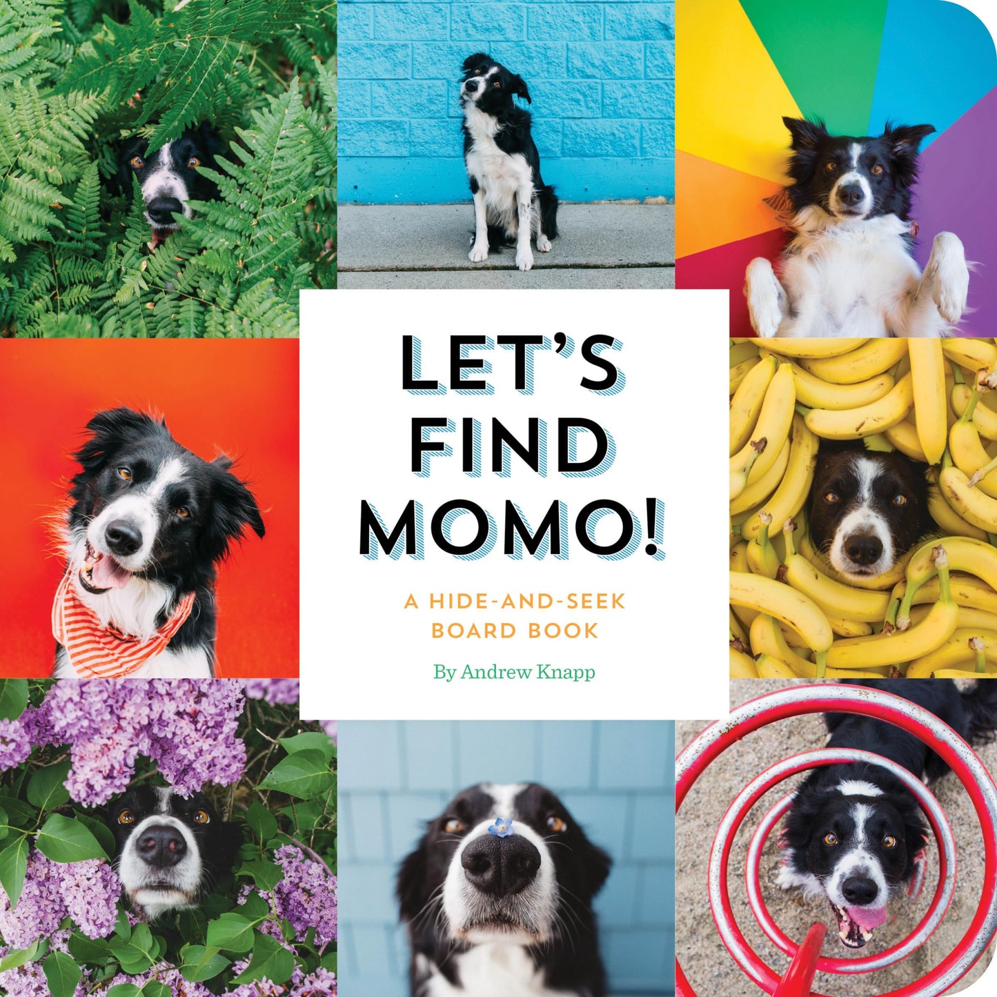 Let's Find Momo!: A Hide-and-Seek Board Book - 9547