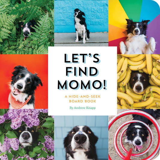 Let's Find Momo!: A Hide-and-Seek Board Book - 9547