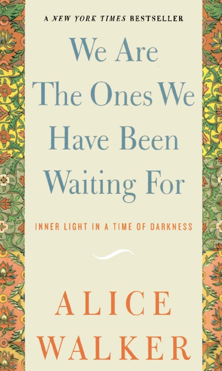 We Are the Ones We Have Been Waiting For: Inner Light in a Time of Darkness