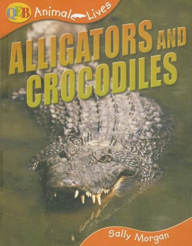 Alligators and Crocodiles (Qeb Animal Lives)