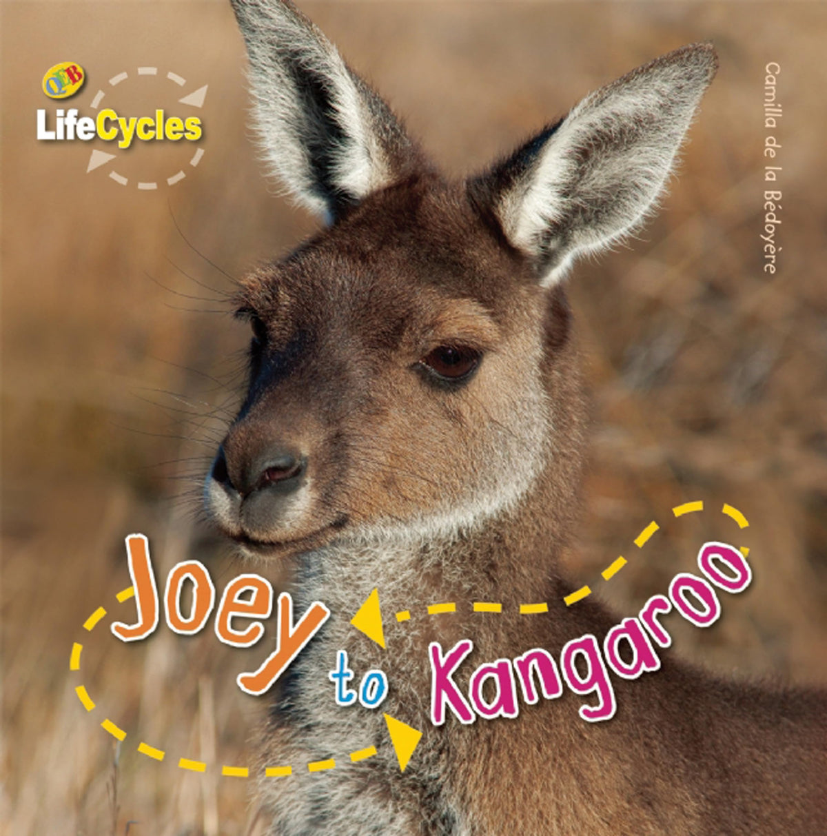 Joey to Kangaroo (LifeCycles)
