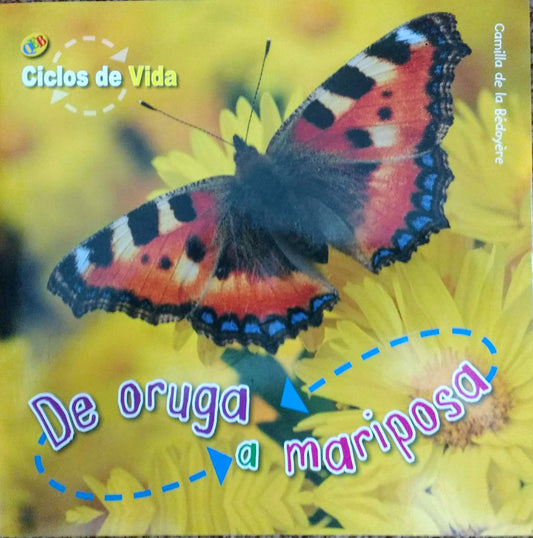De oruga a mariposa - 9668