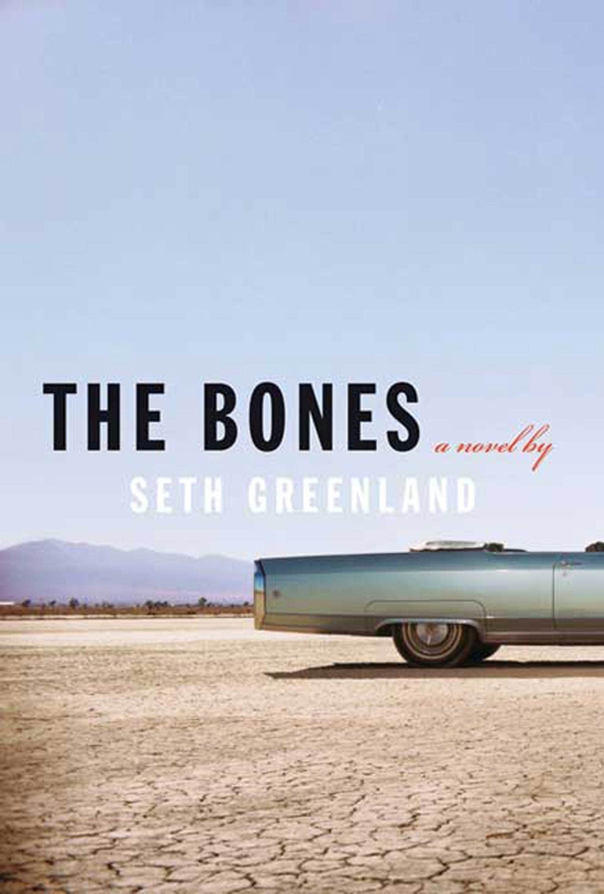 The Bones: A Novel