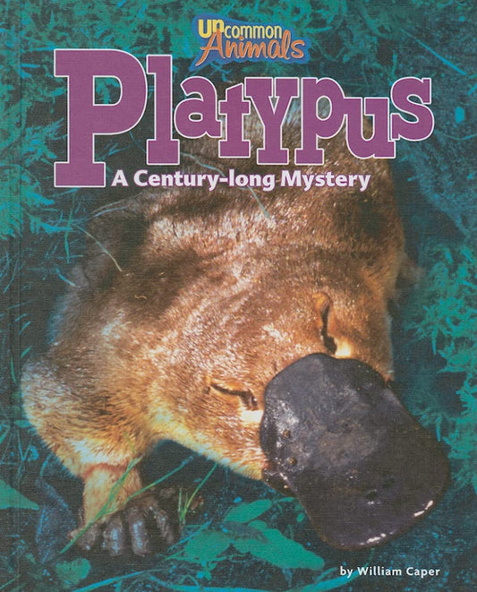 Platypus: A Century-Long Mystery (Uncommon Animals) - 1221