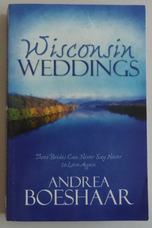 Wisconsin Weddings: The Long Ride Home/Always a Bridesmaid/The Summer Girl (Heartsong Novella Collection)