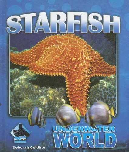 Starfish (Underwater World) - 6598