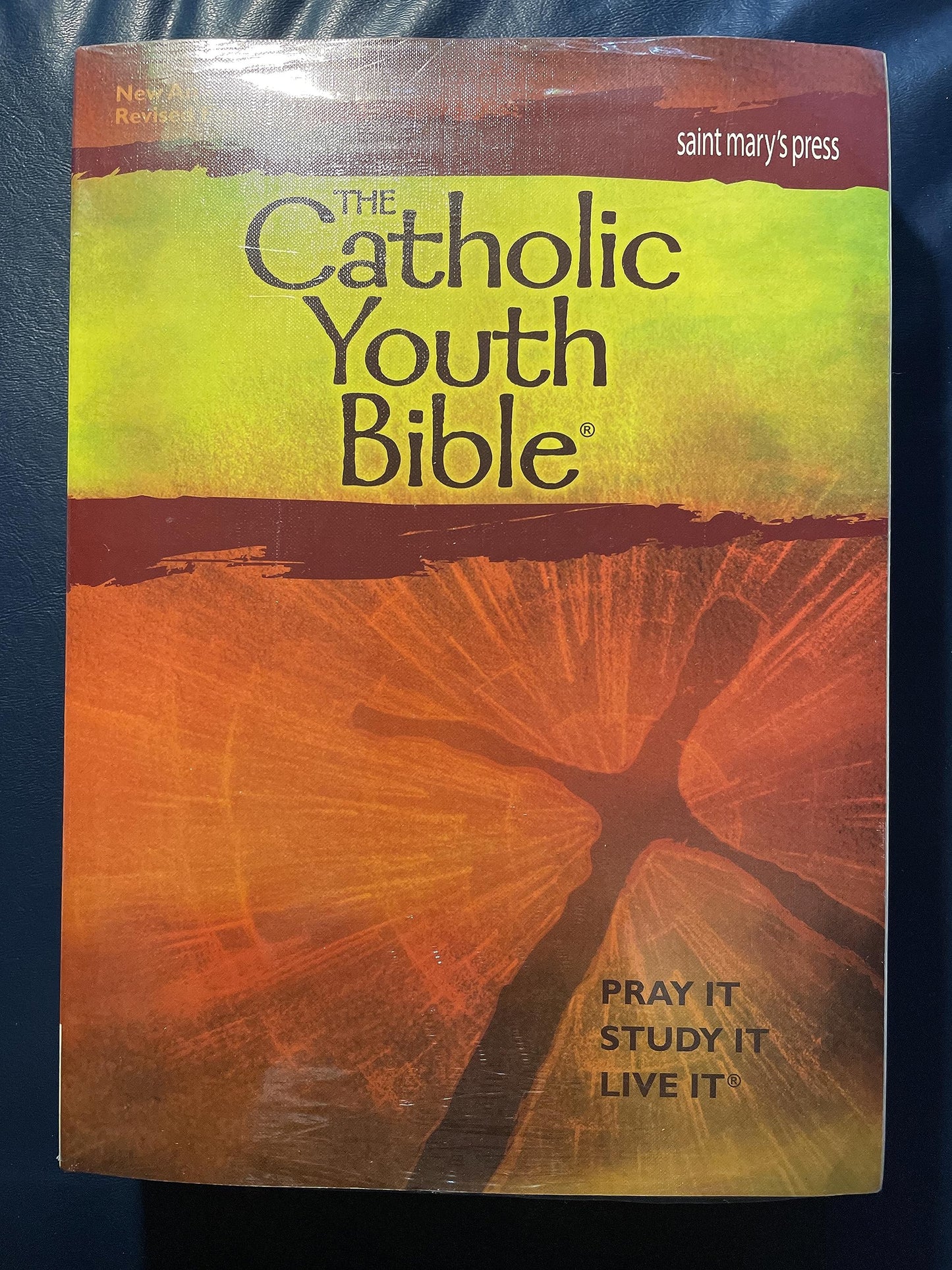The Catholic Youth Bible,Third Edition, NABRE: New American Bible Revised Edition - 351