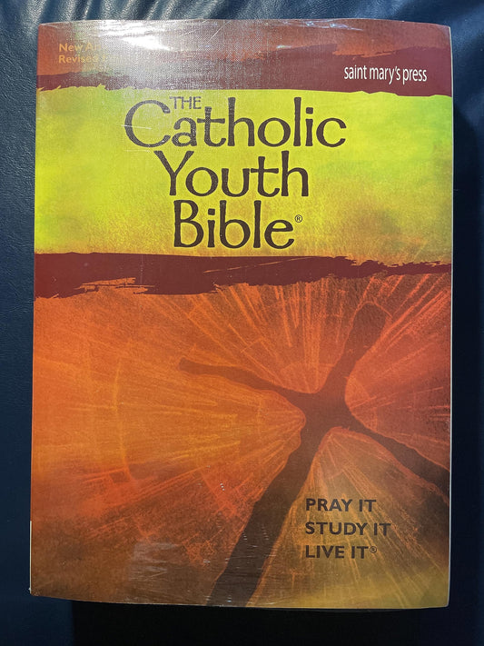 The Catholic Youth Bible,Third Edition, NABRE: New American Bible Revised Edition - 351