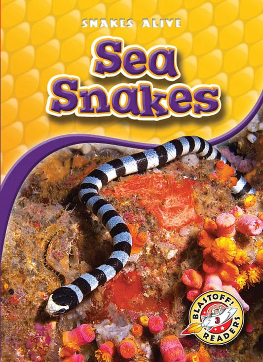 Sea Snakes (Blastoff! Readers: Snakes Alive)