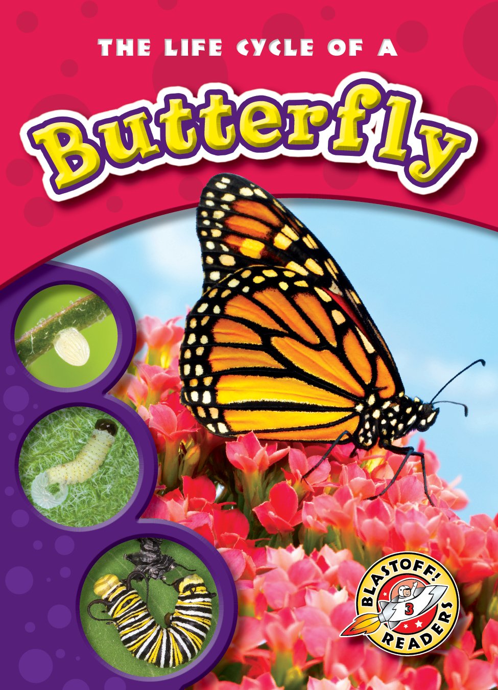 The Life Cycle of a Butterfly (Paperback) (Blastoff! Readers: Life Cycles) (Life Cycles: Blastoff Readers, Level 3)