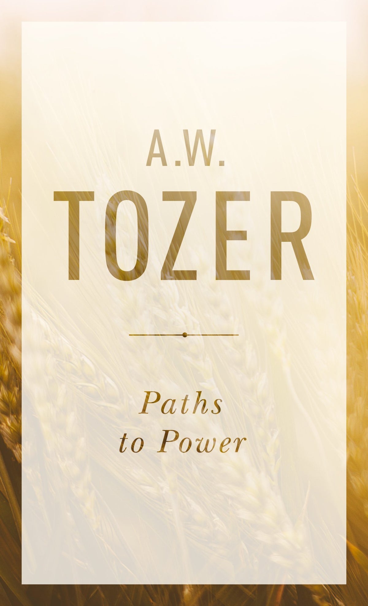 Paths to Power: Living in the Spirit's Fullness (Anchor Yale Bible Reference Library)