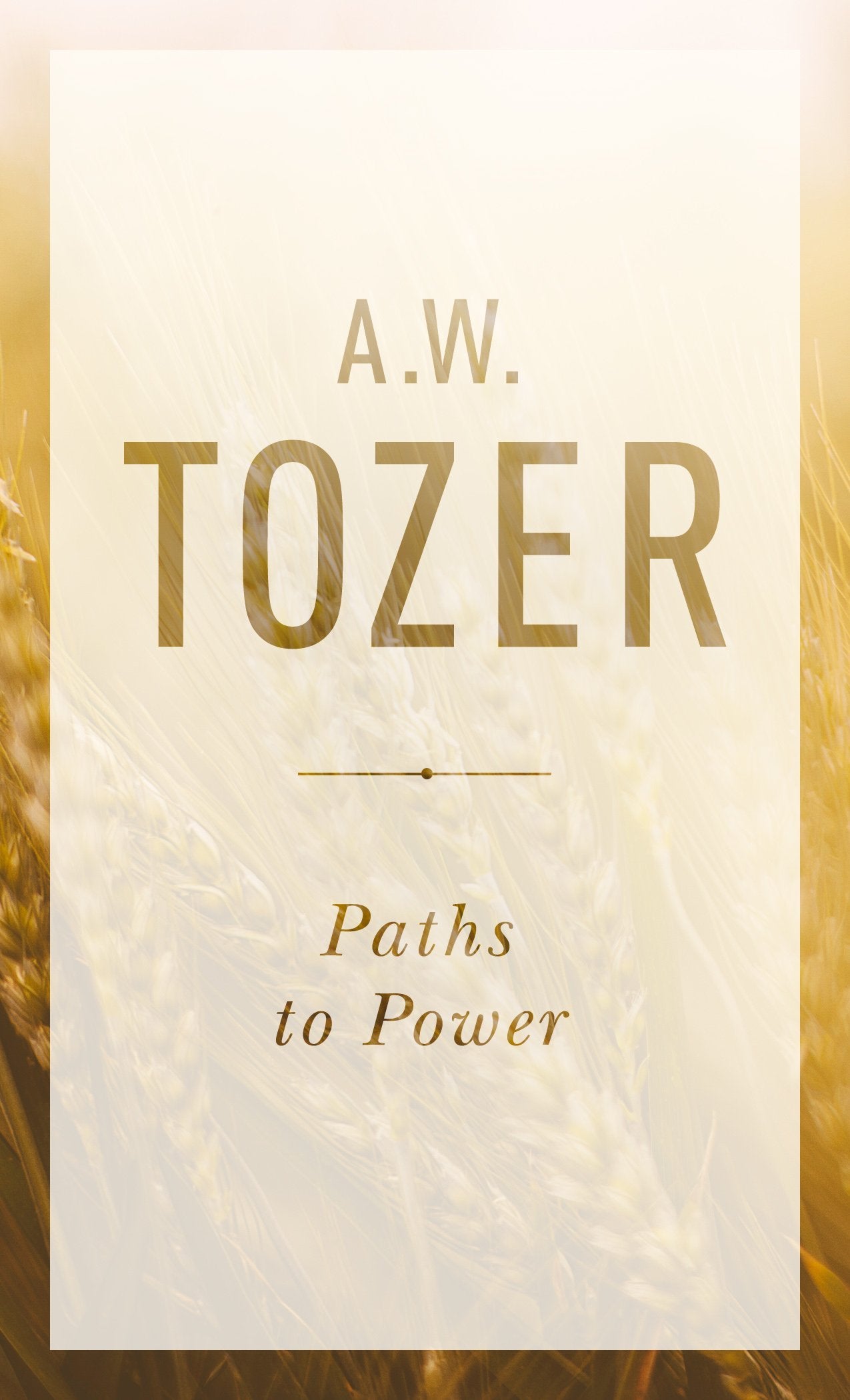 Paths to Power: Living in the Spirit's Fullness (Anchor Yale Bible Reference Library)