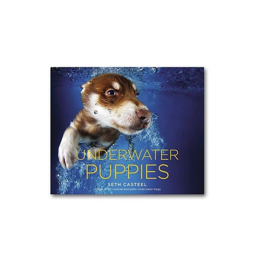 Underwater puppies