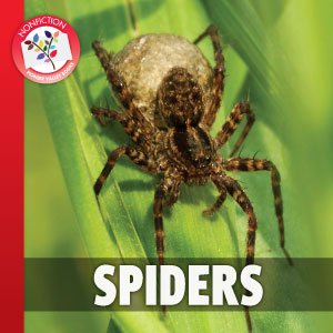 Spiders - 9571