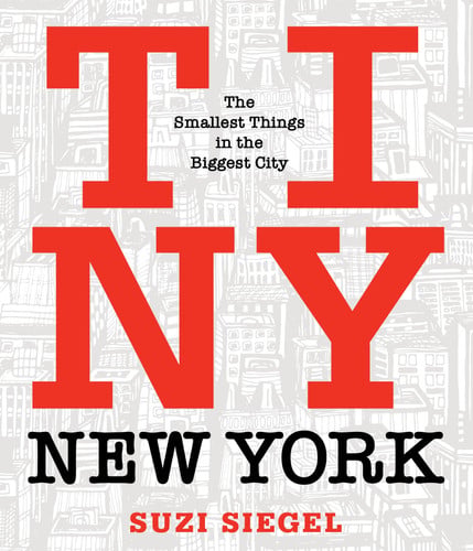 Tiny New York: the smallest things in the biggest city