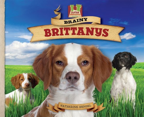 Brainy Brittanys (Dog Daze)