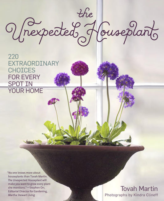 The Unexpected Houseplant: 220 Extraordinary Choices for Every Spot in Your Home - 252