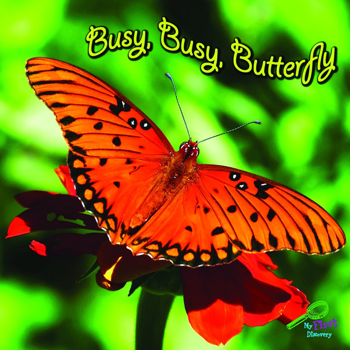 Busy, Busy Butterfly (My First Science Library)