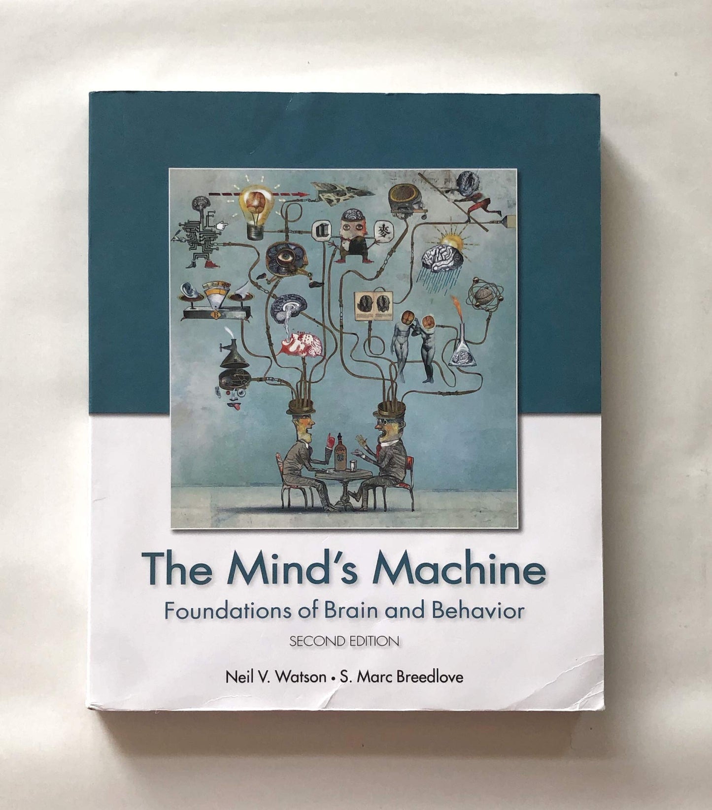 The Mind's Machine