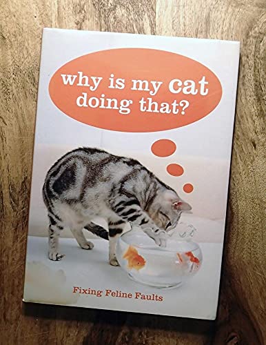 Why Is My Cat Doing That?
