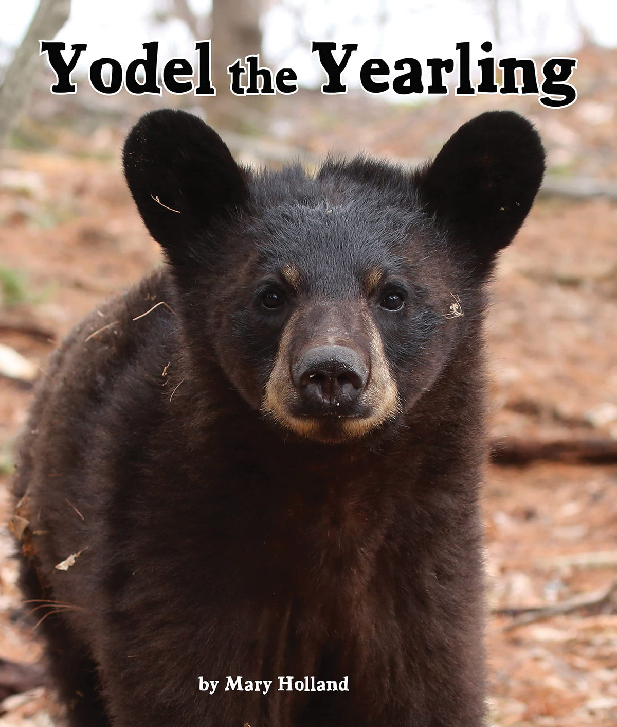 Yodel the Yearling (Arbordale Collection)