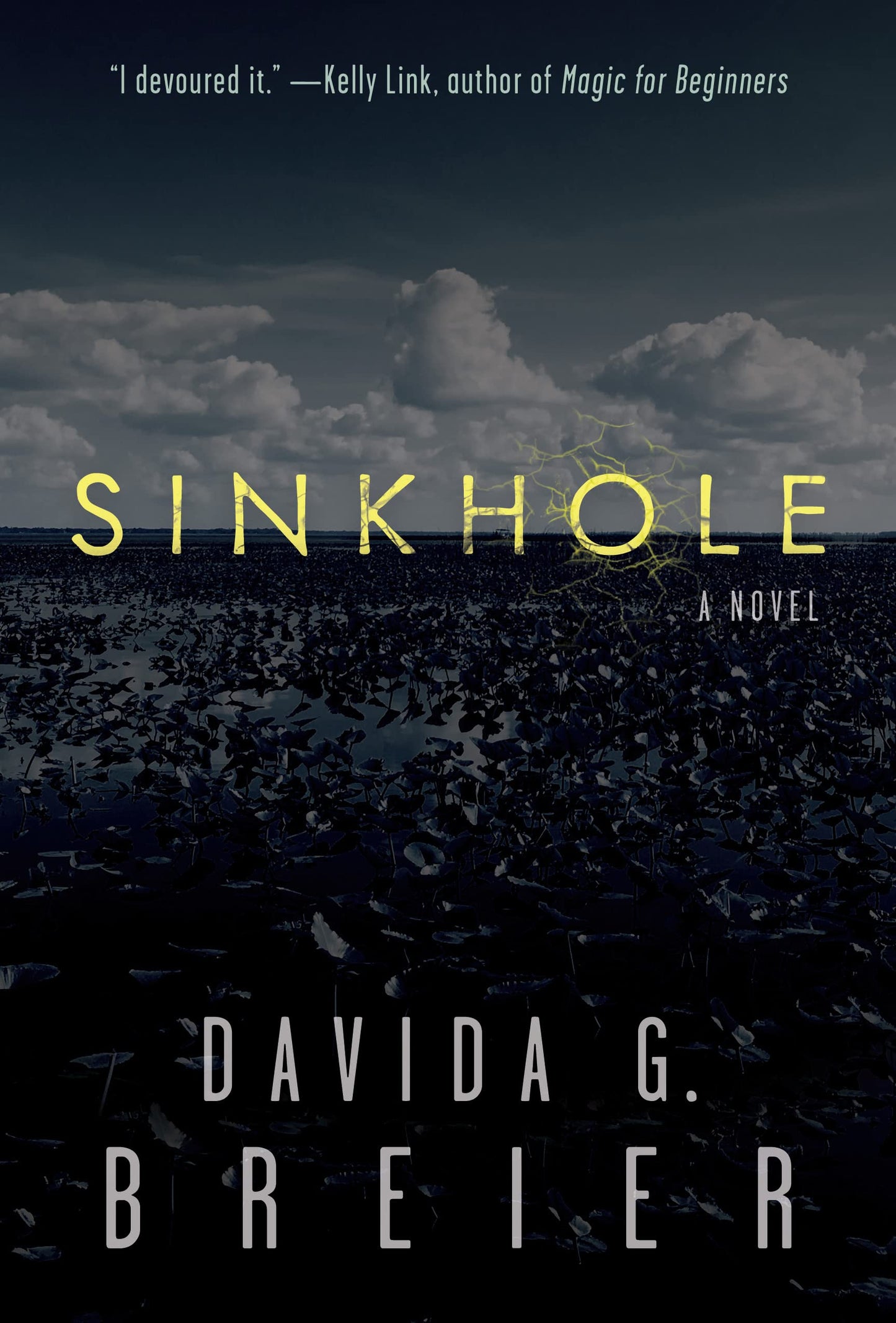 Sinkhole - 5126