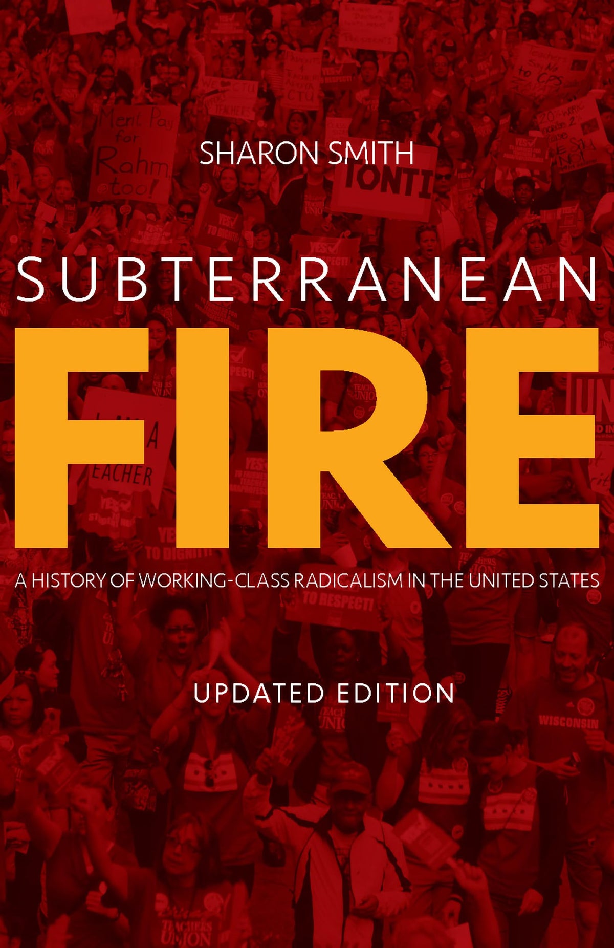 Subterranean Fire (Updated Edition): A History of Working-Class Radicalism in the United States