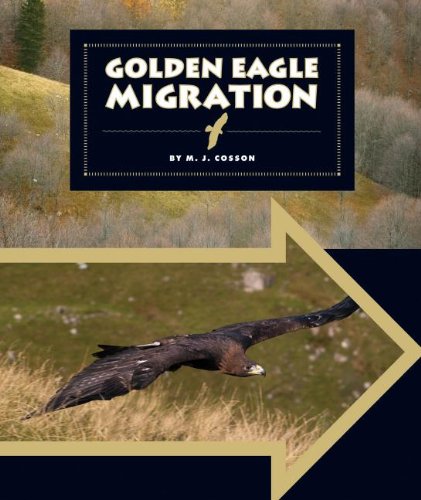Golden Eagle Migration (Animal Migrations)