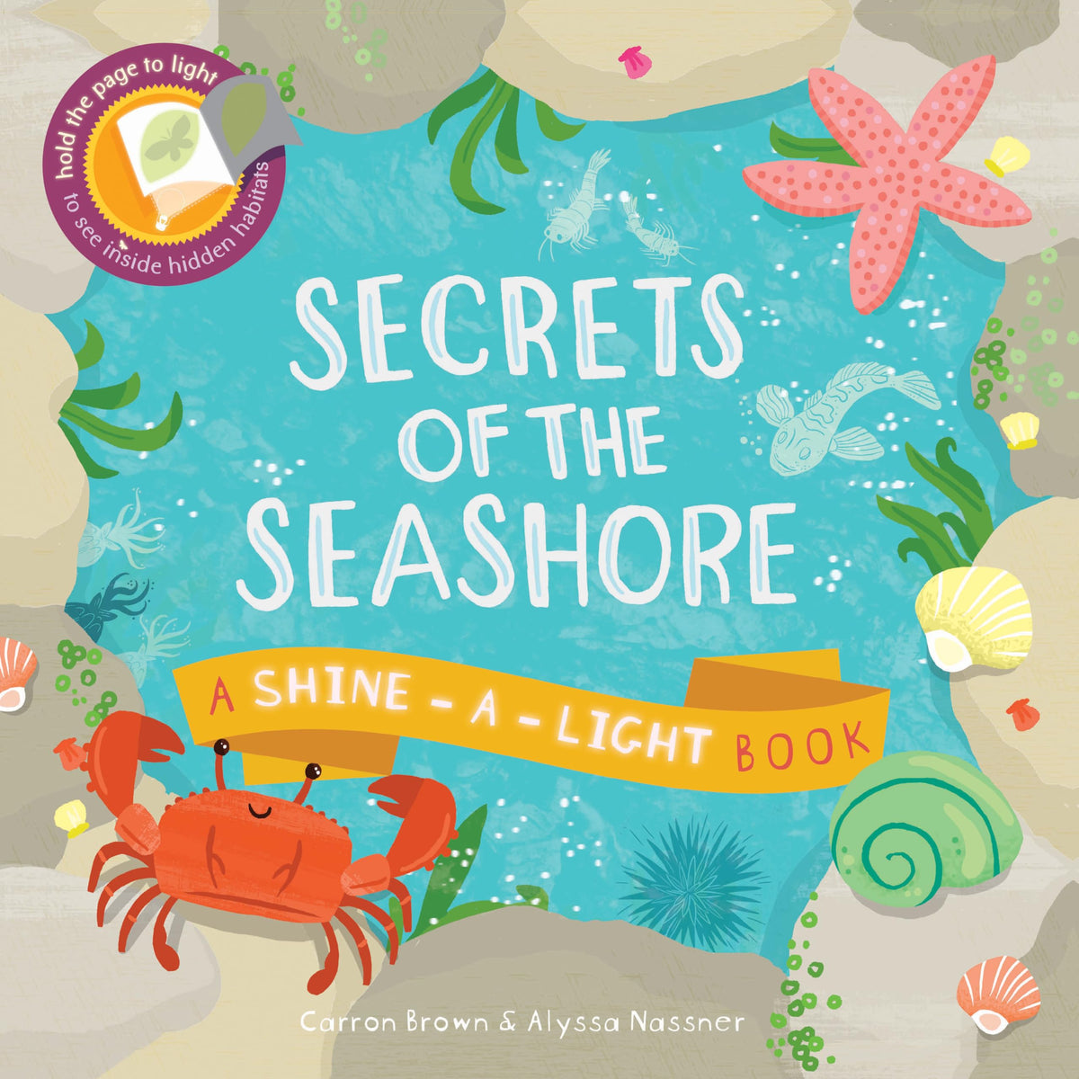 Secrets of the Seashore (Shine-a-light)