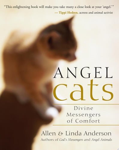 Angel cats: divine messengers of comfort