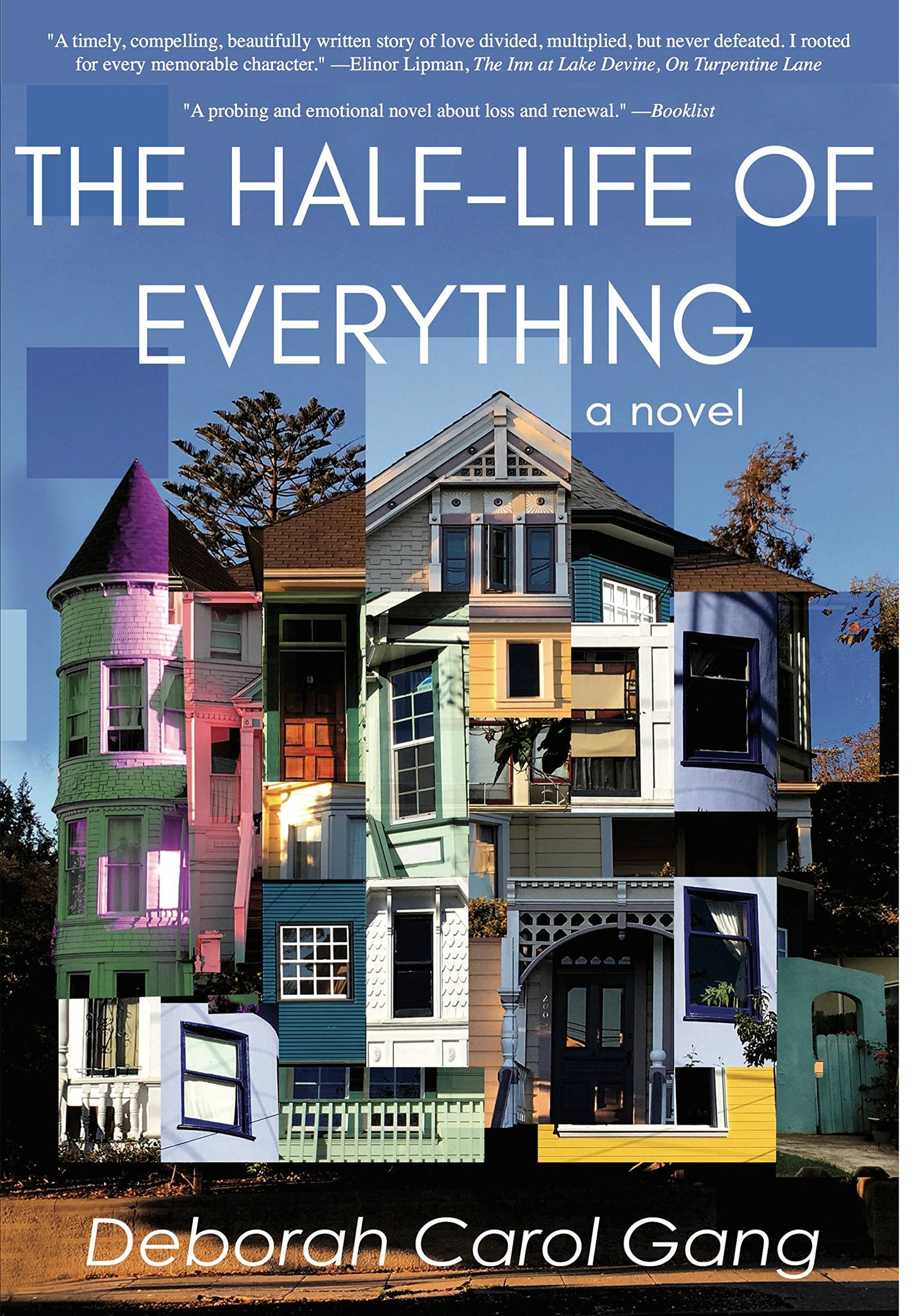 The Half-Life of Everything: A Novel