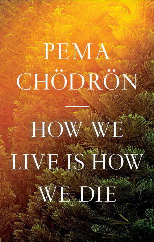 How We Live Is How We Die - 2151