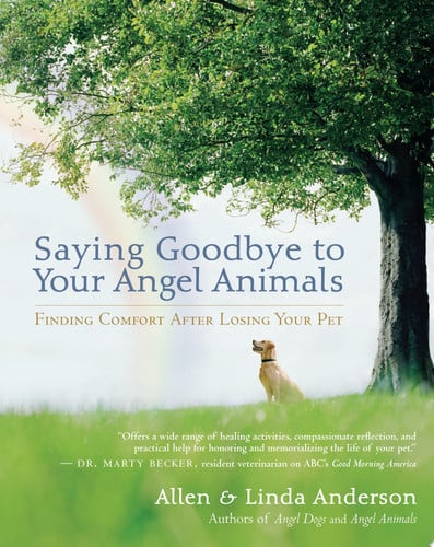 Saying goodbye to your angel animals: finding comfort after losing your pet