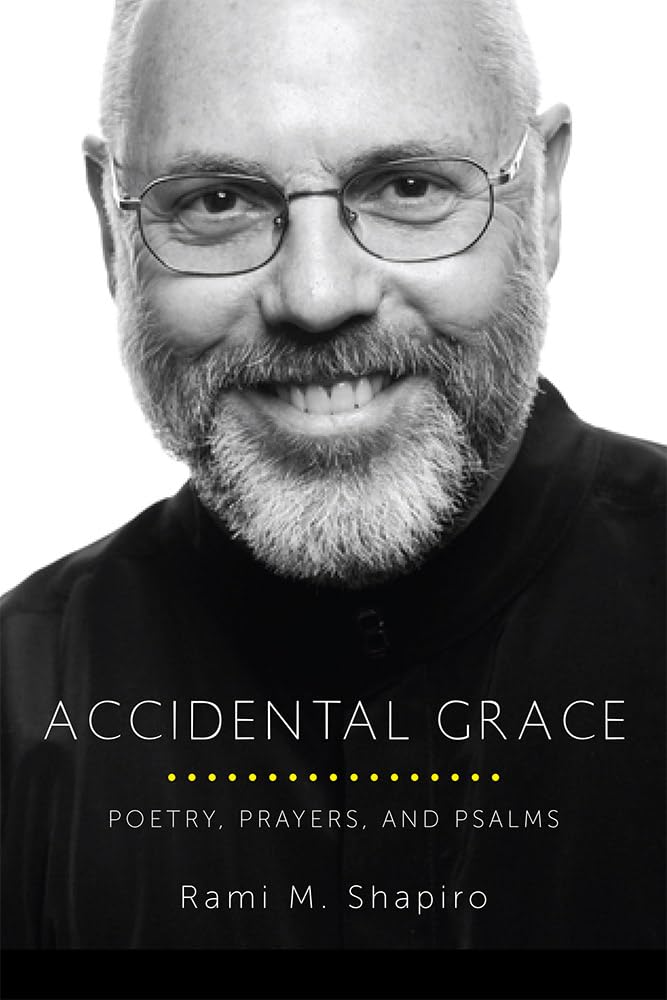 Accidental Grace: Poetry, Prayers, and Psalms - 7564