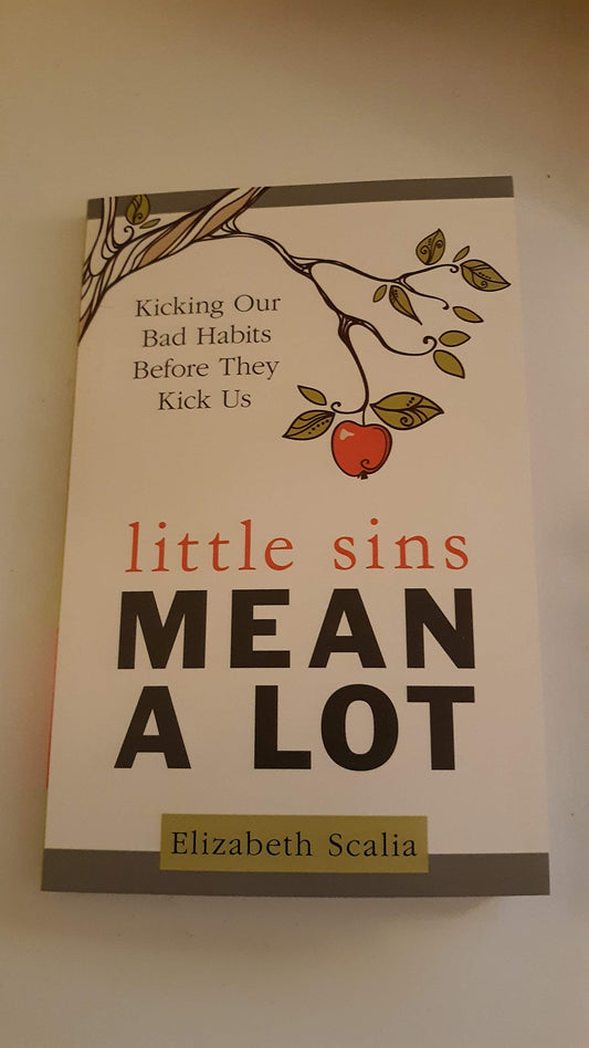 Little Sins Mean a Lot: Kicking Our Bad Habits Before They Kick Us - 4636