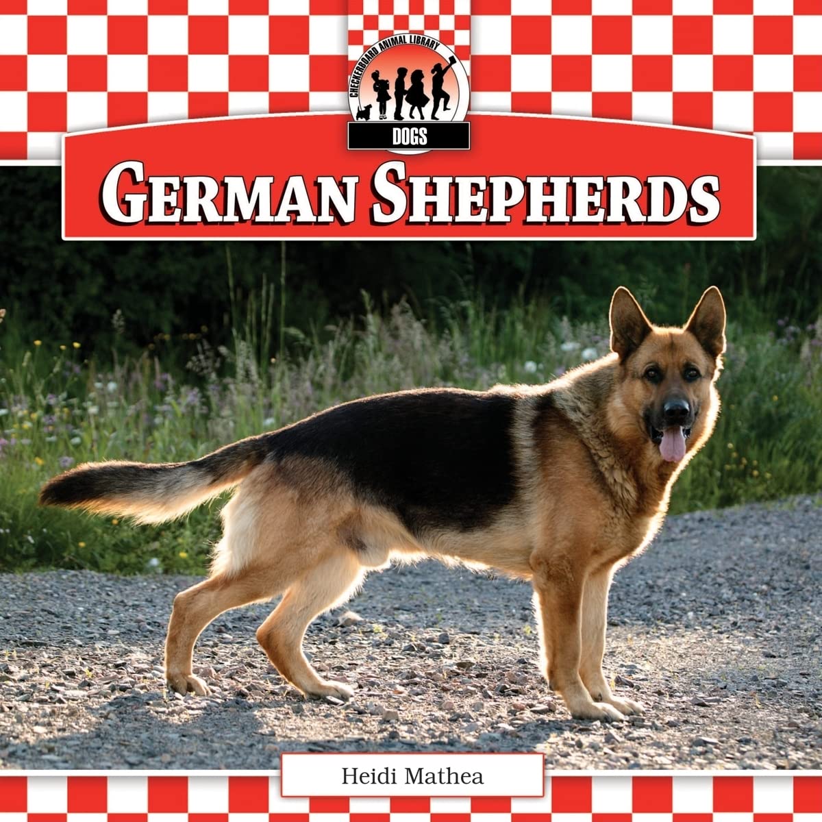 German Shepherds (Dogs)