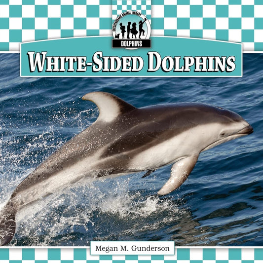 White-sided Dolphins - 4989
