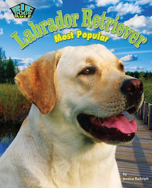 Labrador Retriever: Most Popular (Big Dogs Rule!)