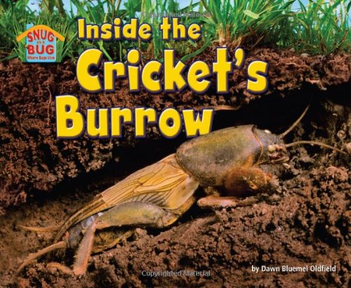 Inside the Cricket’s Burrow (Science Slam: Snug As a Bug-Where Bugs Live)