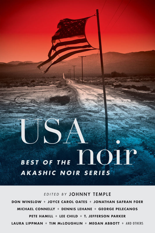 USA Noir: Best of the Akashic Noir Series