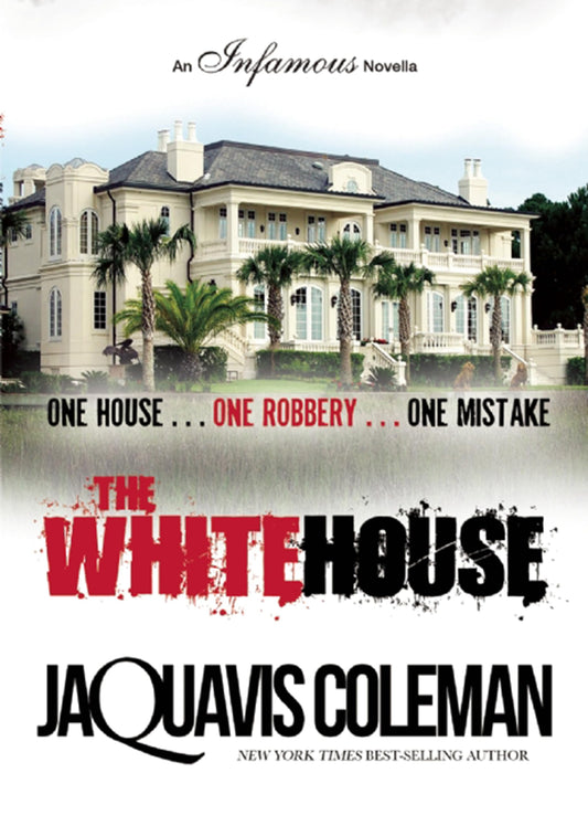 The White House - 4806