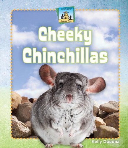 Cheeky Chinchillas (Unusual Pets)