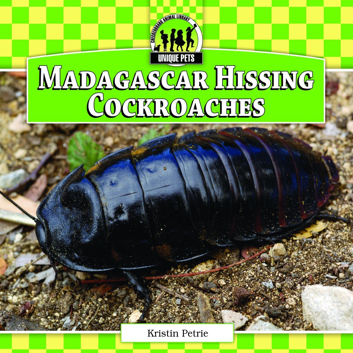 Madagascar Hissing Cockroaches (Unique Pets)