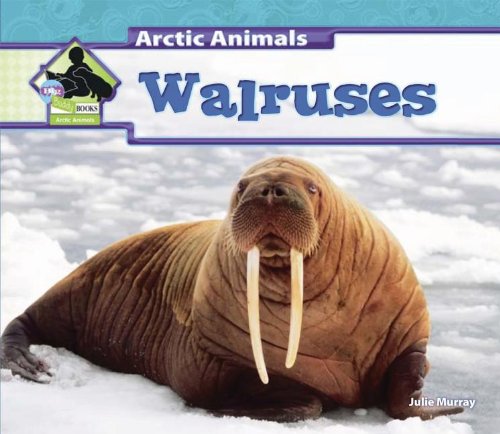 Walruses (Arctic Animals) - 9597