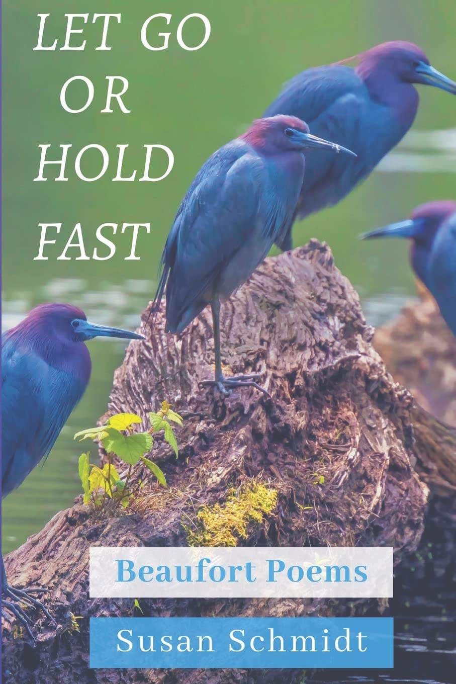 Let Go or Hold Fast: Beaufort Poems - 7049