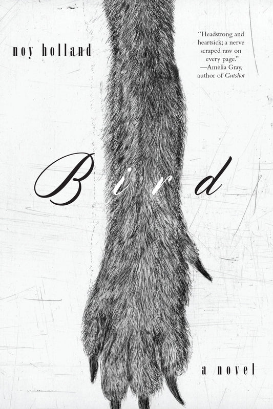 Bird: A Novel