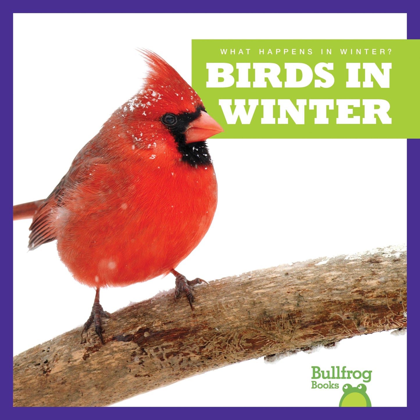 Birds in Winter (Bullfrog Books: What Happens in Winter?) - 1103
