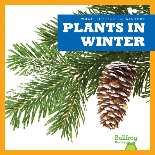 Plants in Winter (Bullfrog Books: What Happens in Winter?)